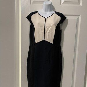 Ann Taylor Dress